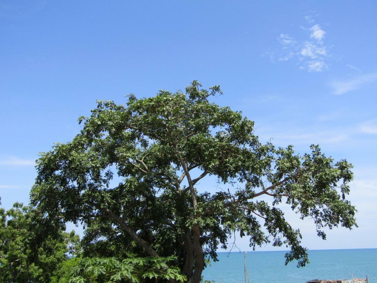 Posada Mama Bella Playa Blanca  Luaran gambar